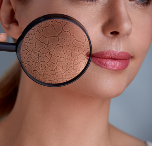 How Karbuj and Tarbuj can do wonders for your skin?