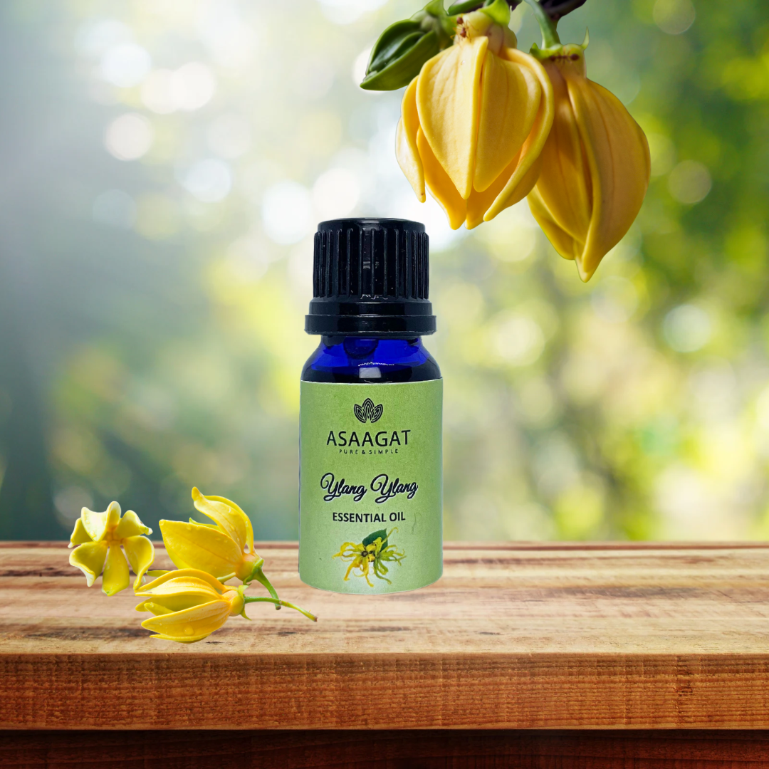 Ylang Ylang Essential Oil