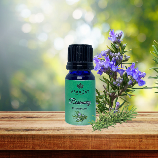 Rosemary essential oil