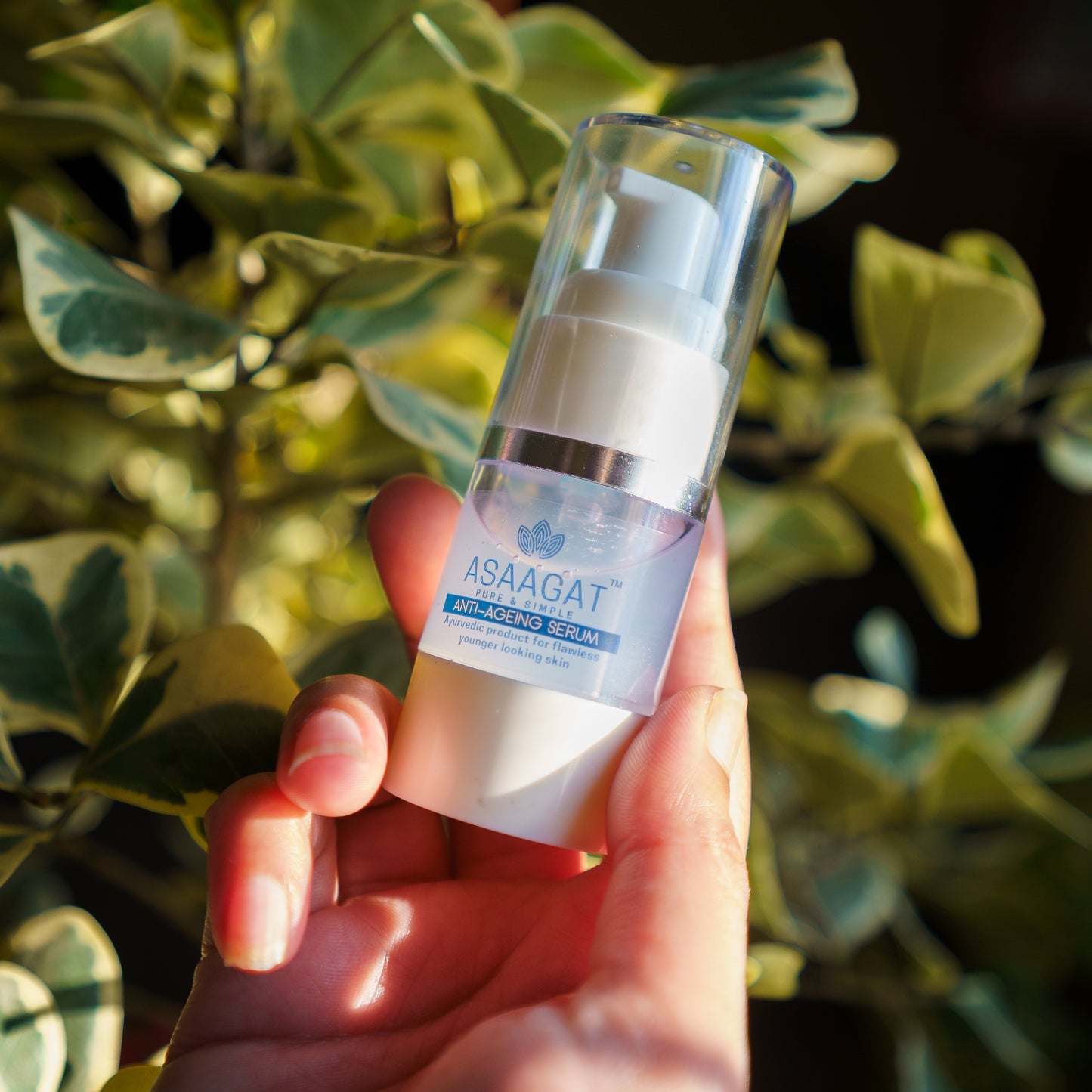 Anti Aging Serum