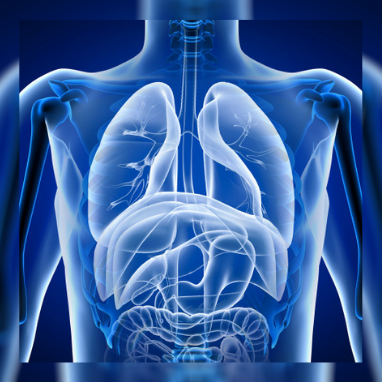 Seven Ways to Keep Your Respiratory System Healthy