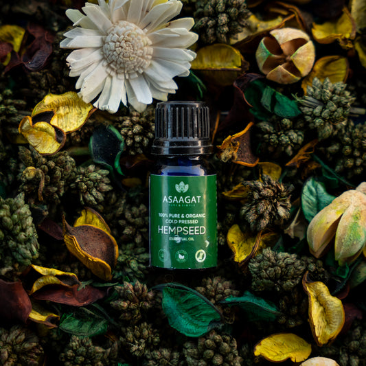 Hempseed Essential Oil